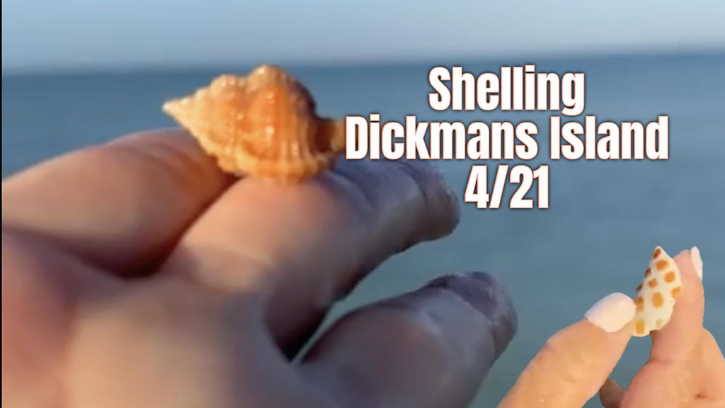 Facebook Live Shelling 4/21