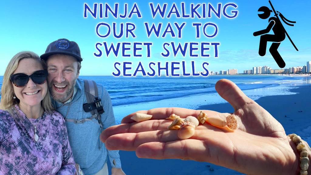 Ninja Walking our way to sweet sweet Seashells