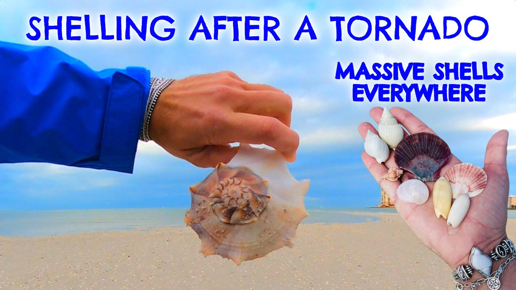 SHELLING AFTER A TORNADO!!!