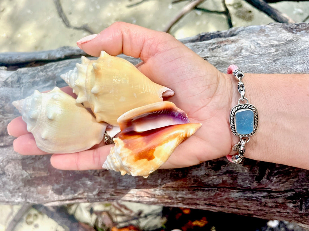 Shelling Kice Island on Mom's Birthday! 4/27