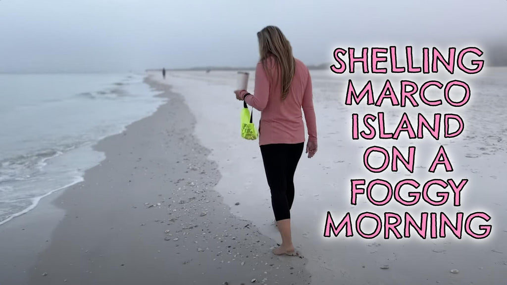 Shelling Marco Beach on a Foggy December Morning