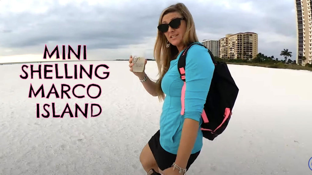 Shelling Marco Island Beach with the Girls.
