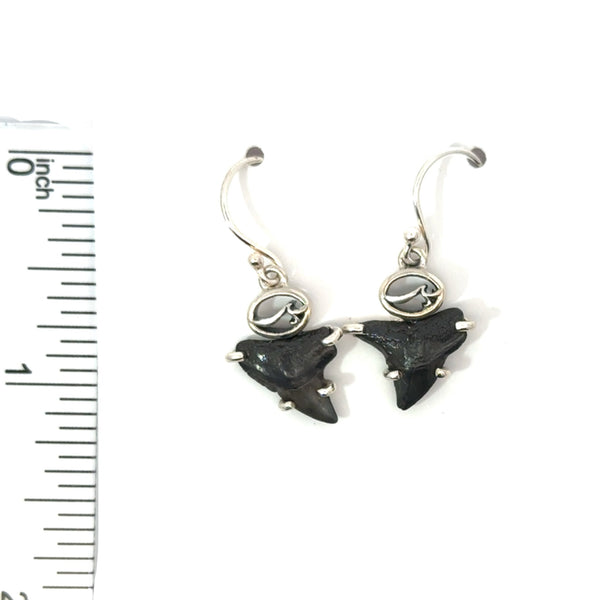 Fossilized Prong Set Shark Tooth Earrings - Ocean Soul
