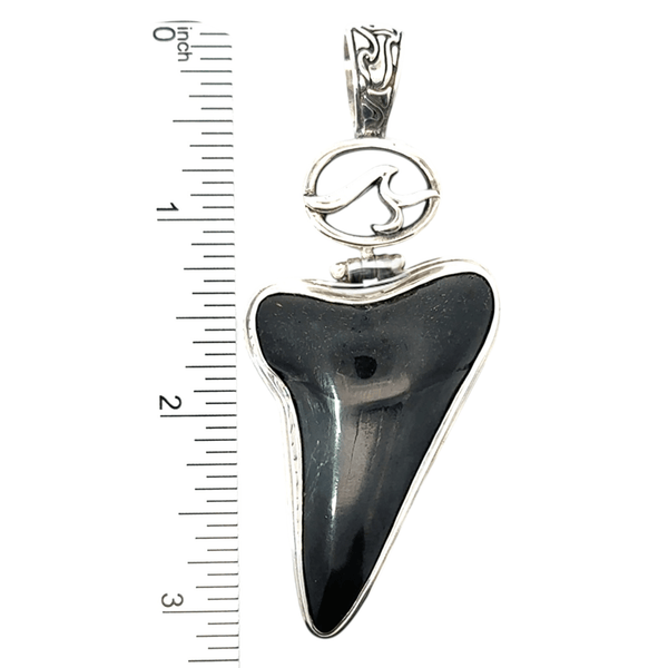 Polished Shark Tooth Pendant - Ocean Soul