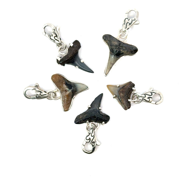 Shark Tooth Charms - Ocean Soul