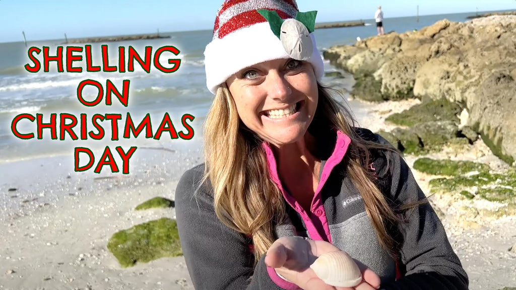 Christmas Shelling Marco Island South Beach