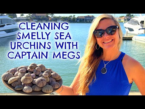 Cleaning Smelly Sea Urchins with Captain Megs