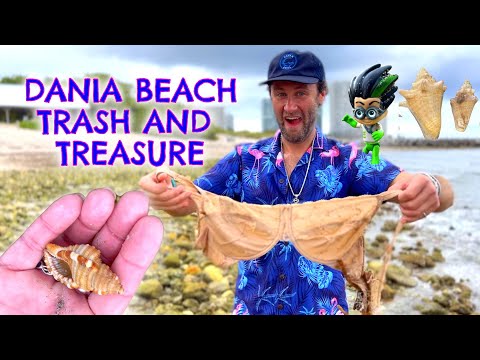 Dania Beach Trash and Treasure