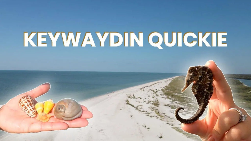 Keywaydin Quickie