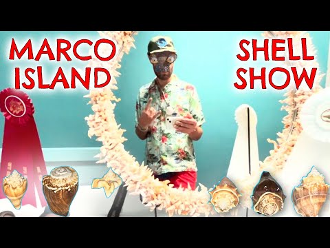 Marco Shell Show 2022