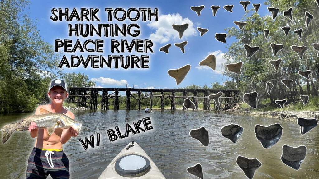 Shark Tooth Hunting - Peace River Adventure w/ Blake