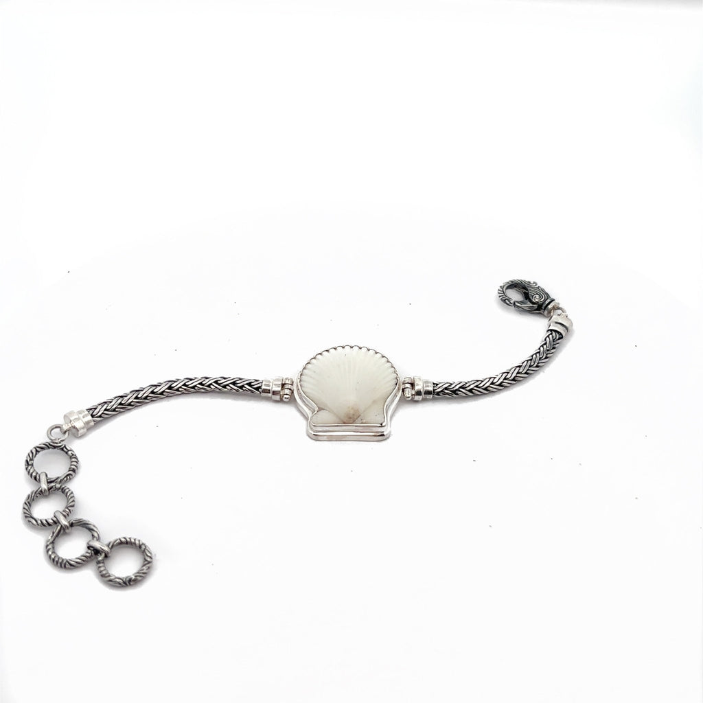 Albino Scallop on the Romano Adjustable Bracelet - Ocean Soul