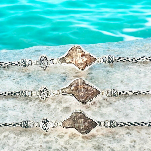Apple Murex Dainty Link Bracelet - Ocean Soul