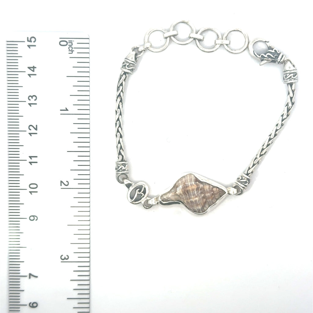 Apple Murex Dainty Link Bracelet - Ocean Soul