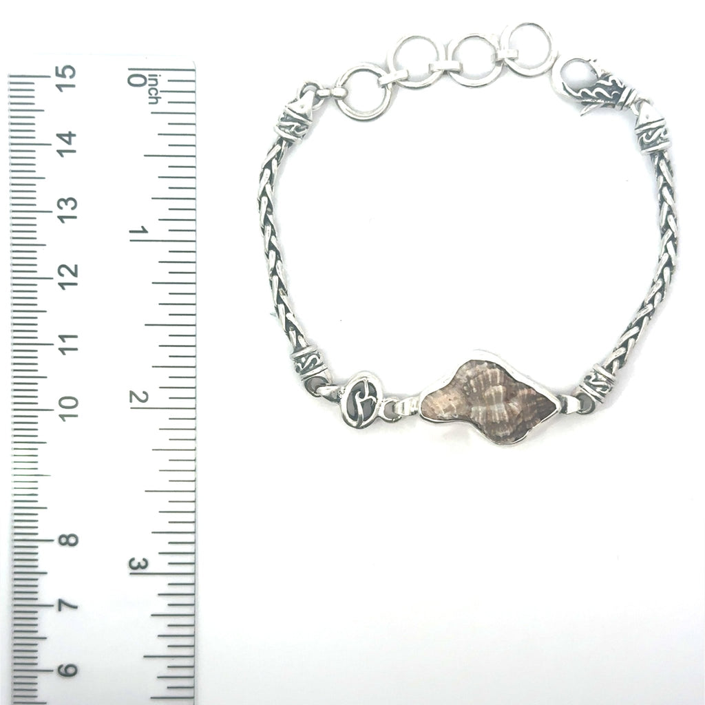 Apple Murex Dainty Link Bracelet - Ocean Soul
