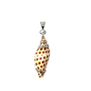 Baby Junonia Shell Pendant - Ocean Soul