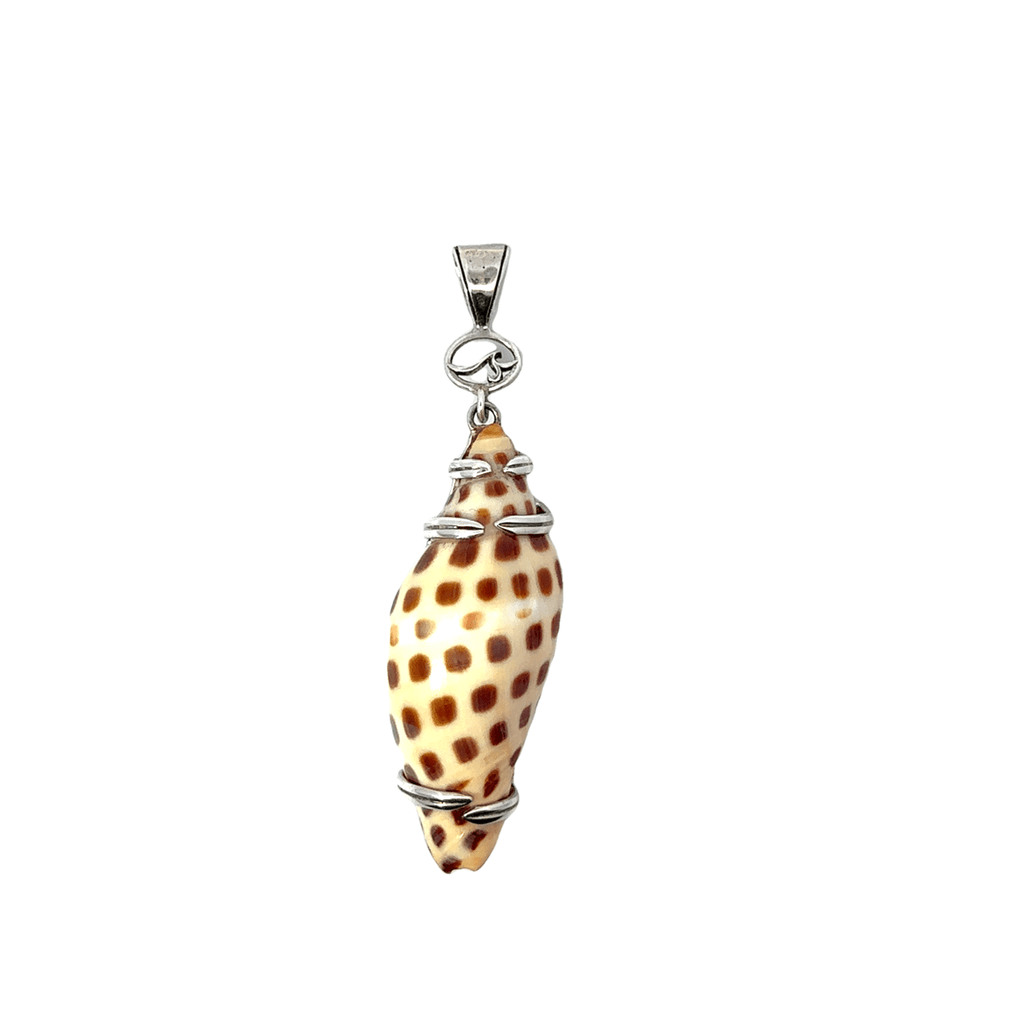 Baby Junonia Shell Pendant - Ocean Soul