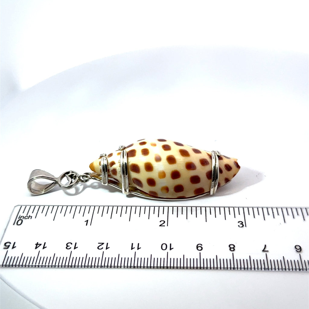 Baby Junonia Shell Pendant - Ocean Soul