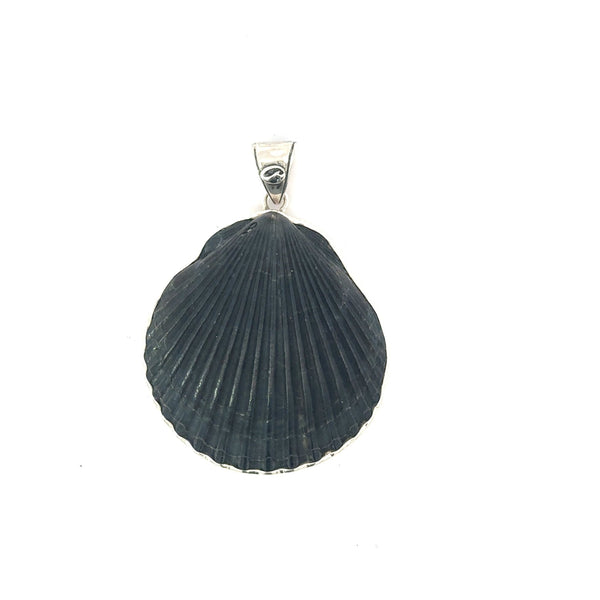 Black Scallop Pendant - Ocean Soul