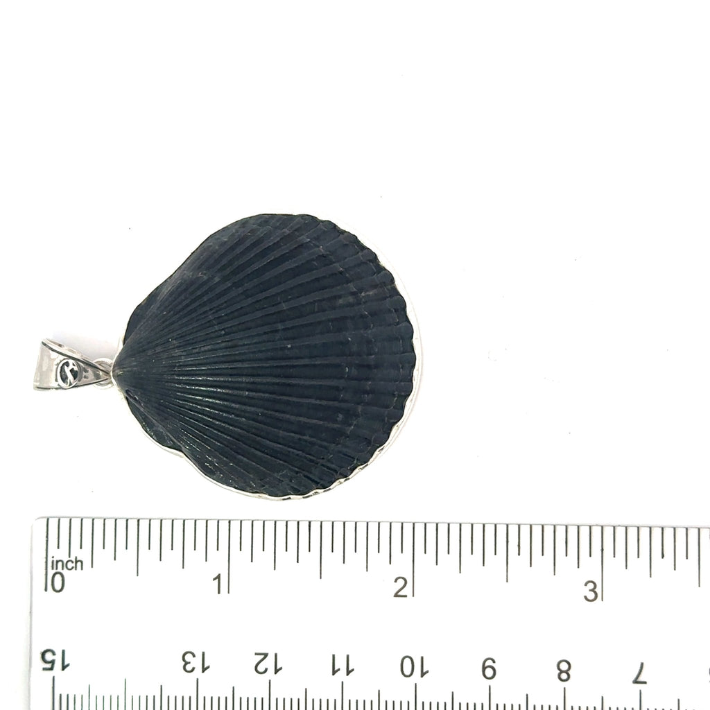 Black Scallop Pendant - Ocean Soul