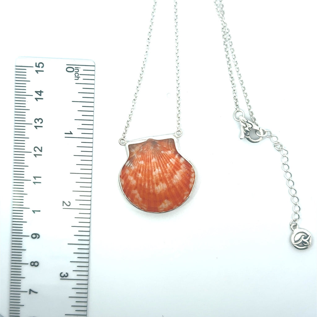 Calico Scallop Dainty Adjustable Necklace - Ocean Soul