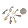 Coquina Seashell Charms - Ocean Soul