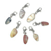 Coquina Seashell Charms - Ocean Soul