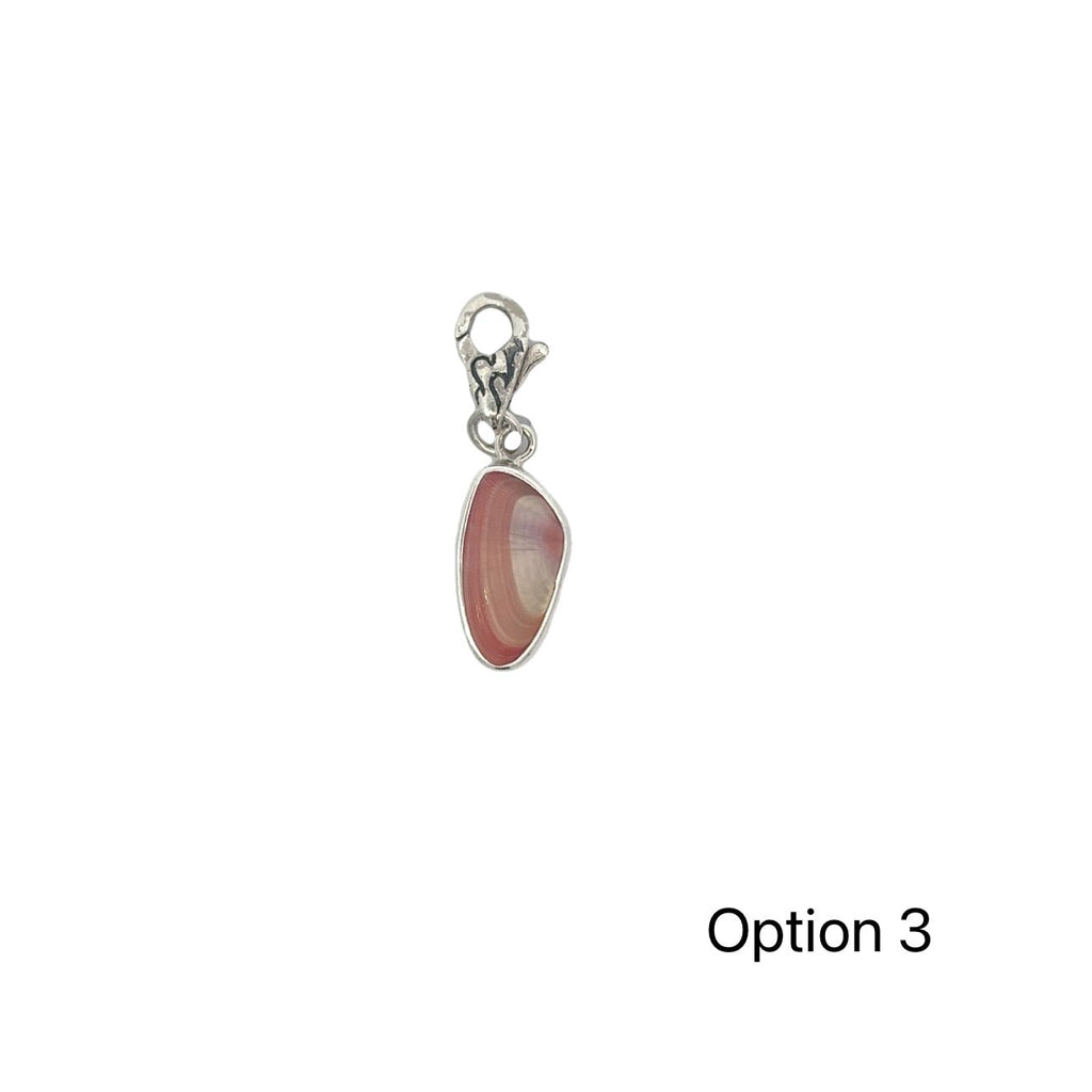 Coquina Seashell Charms - Ocean Soul