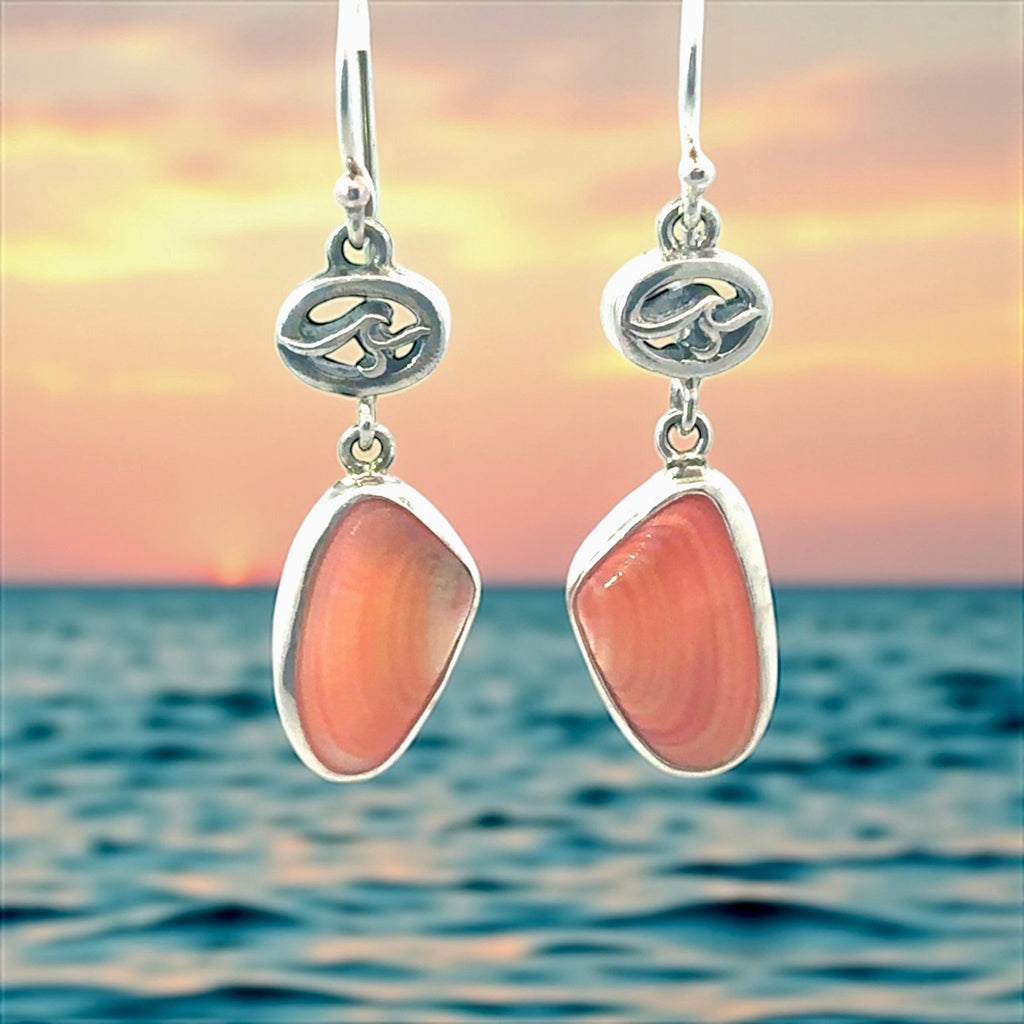 Coquina Seashell Earrings - Ocean Soul