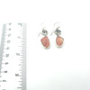 Coquina Seashell Earrings - Ocean Soul