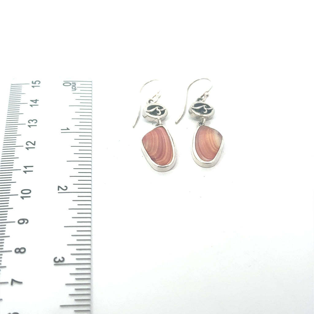 Coquina Seashell Earrings - Ocean Soul