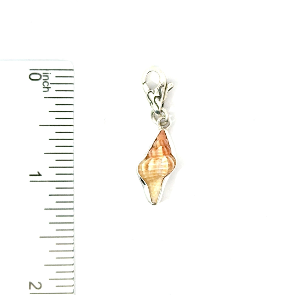 Florida Seashell Charms - Ocean Soul