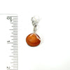 Florida Seashell Charms - Ocean Soul