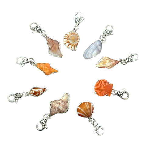 Seashells