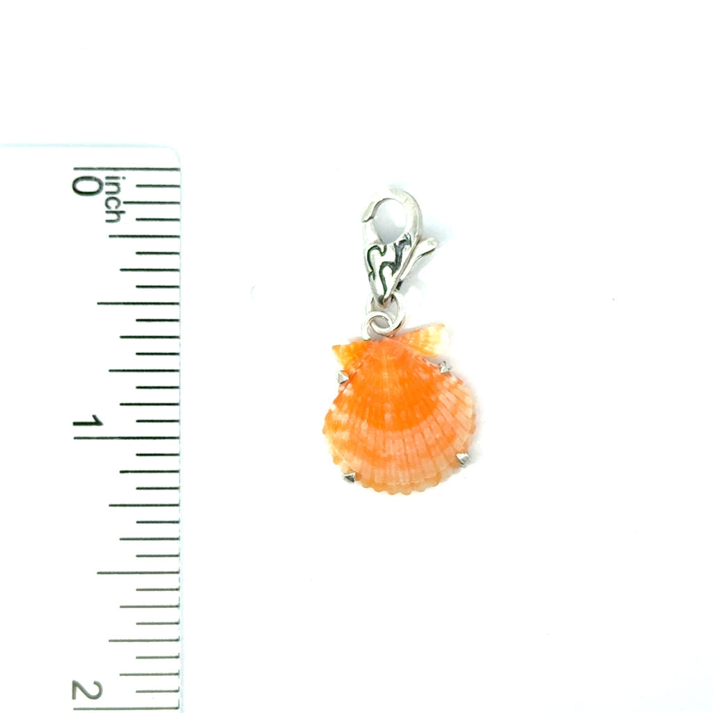 Florida Seashell Charms - Ocean Soul