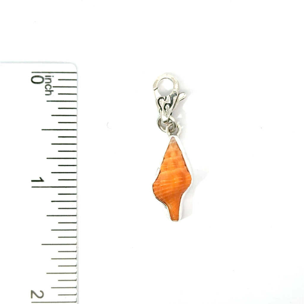 Florida Seashell Charms - Ocean Soul
