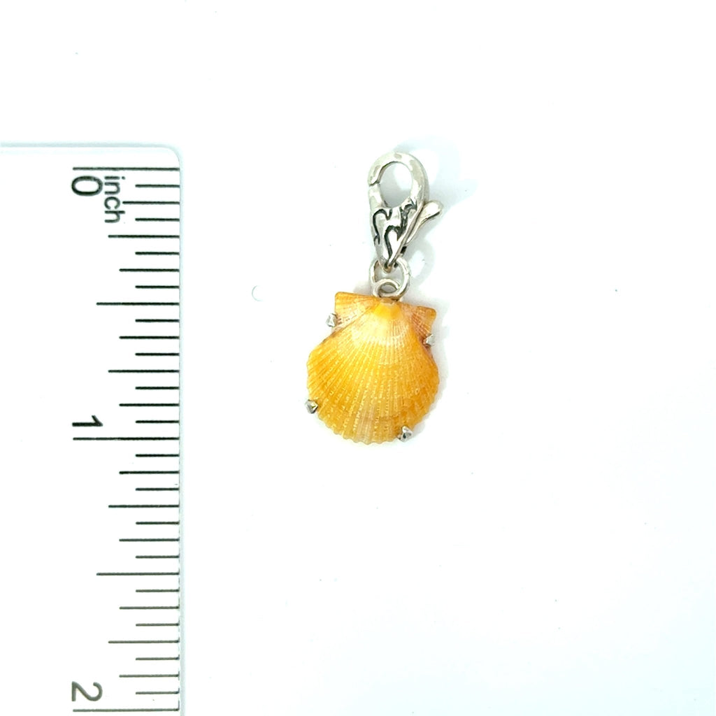 Florida Seashell Charms - Ocean Soul