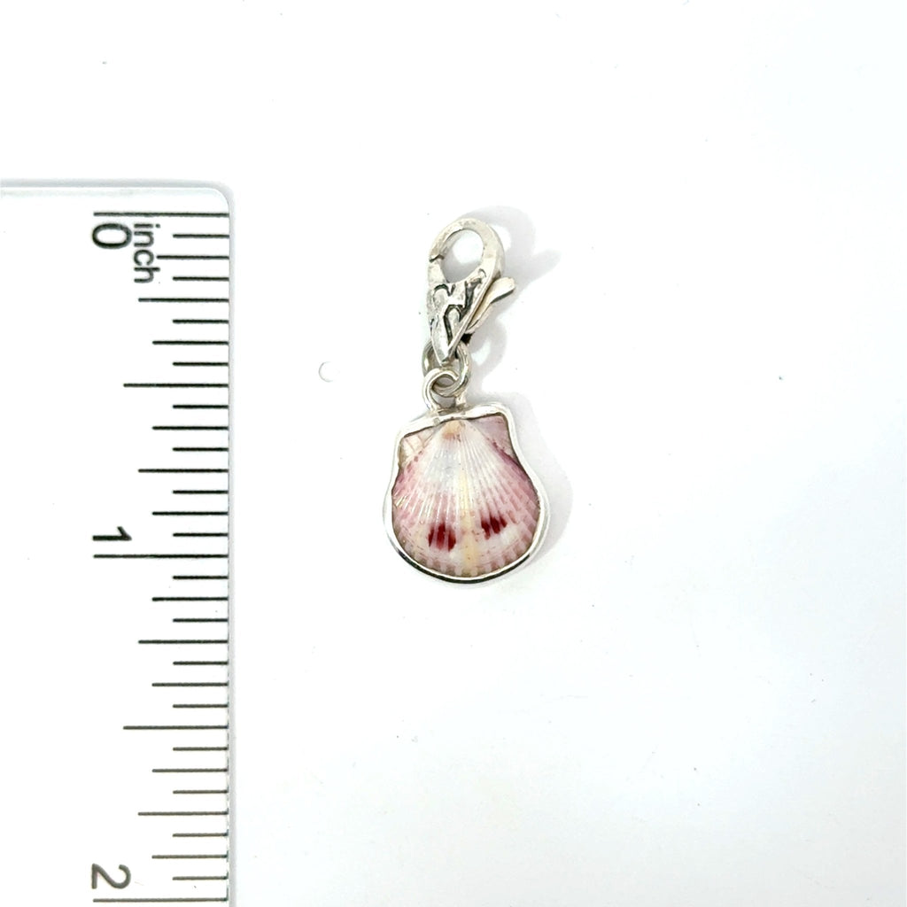 Florida Seashell Charms - Ocean Soul