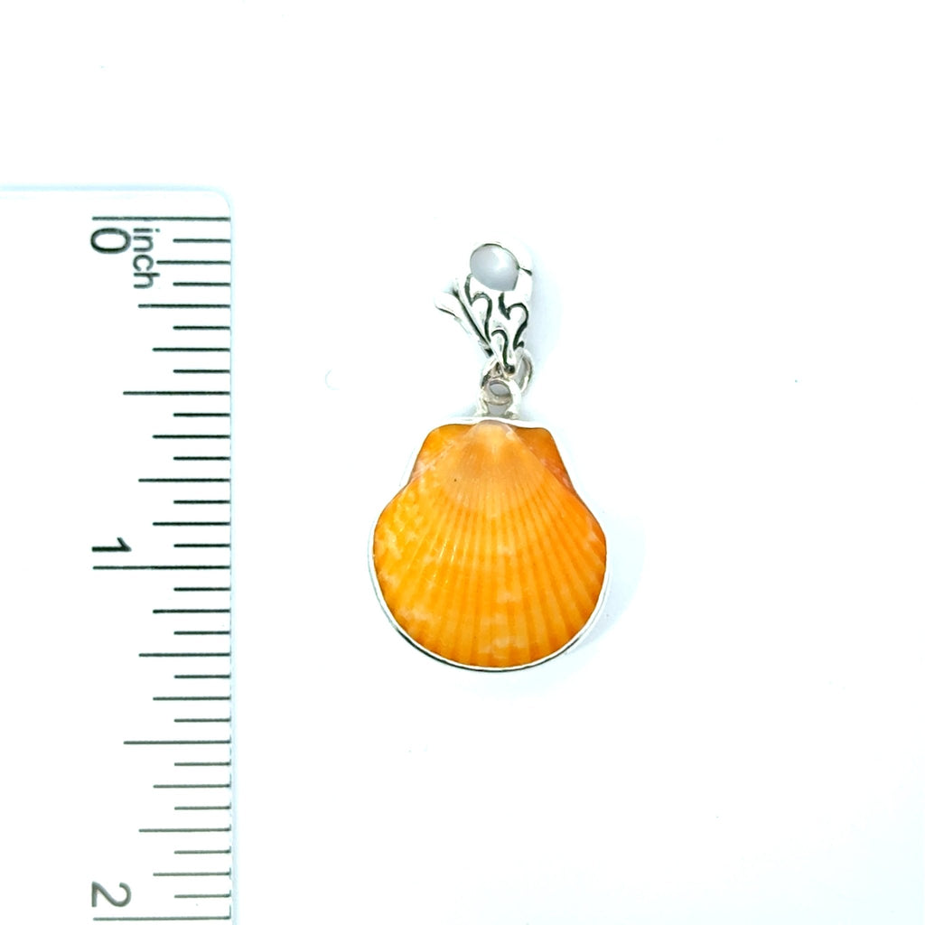 Florida Seashell Charms - Ocean Soul