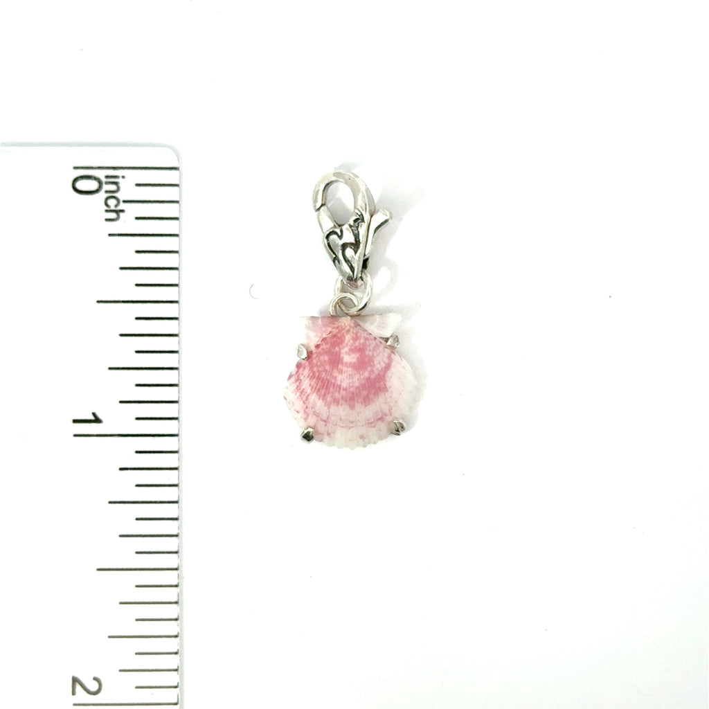 Florida Seashell Charms - Ocean Soul