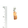 Florida Seashell Charms - Ocean Soul