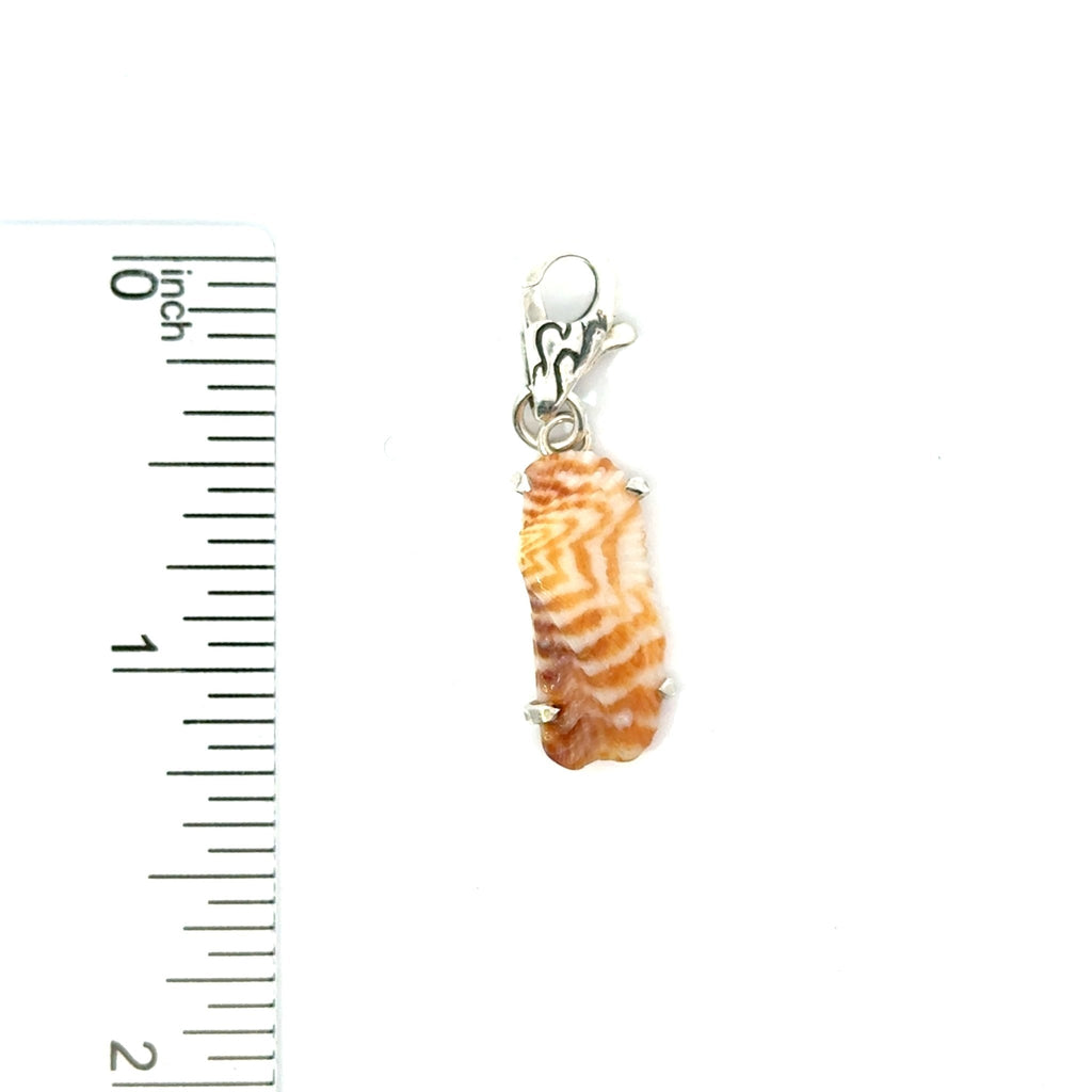 Florida Seashell Charms - Ocean Soul