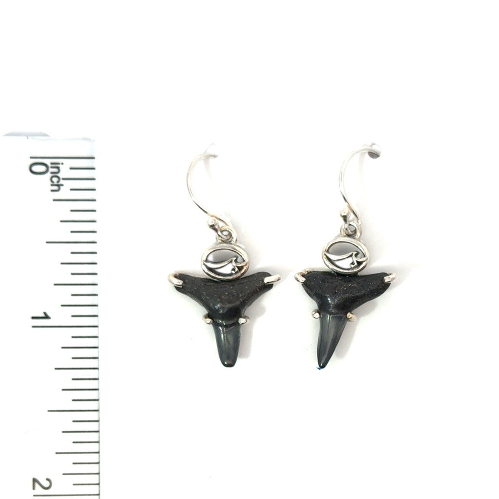Fossilized Prong Set Shark Tooth Earrings - Ocean Soul