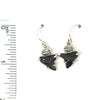 Fossilized Prong Set Shark Tooth Earrings - Ocean Soul