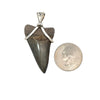 Hastalis Shark Tooth Pendant - Ocean Soul