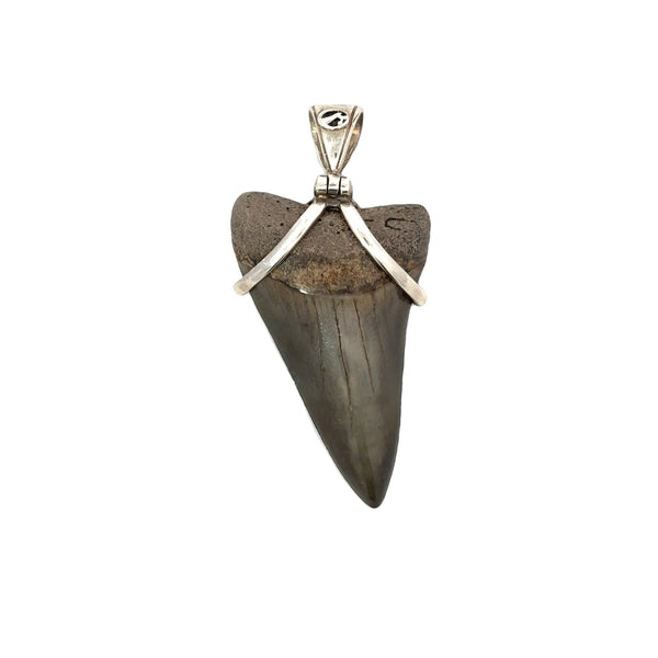 Hastalis Shark Tooth Pendant - Ocean Soul