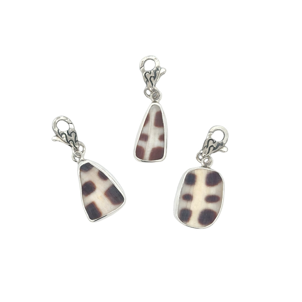Junonia Seashell Charm - Ocean Soul
