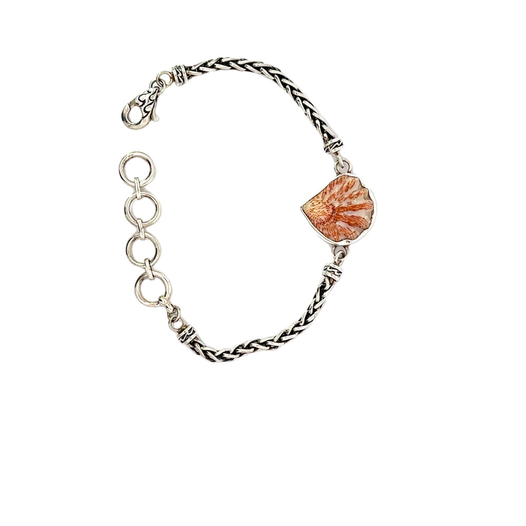 Kitten Paw Dainty Chain Bracelet (link) - Ocean Soul