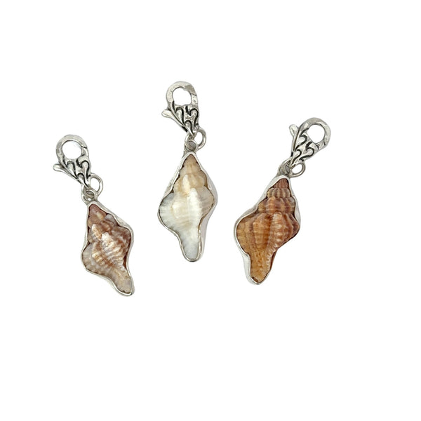 Lace Murex Shell Charm - Ocean Soul