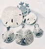 Medium Silver Sand Dollar Pendant - Ocean Soul